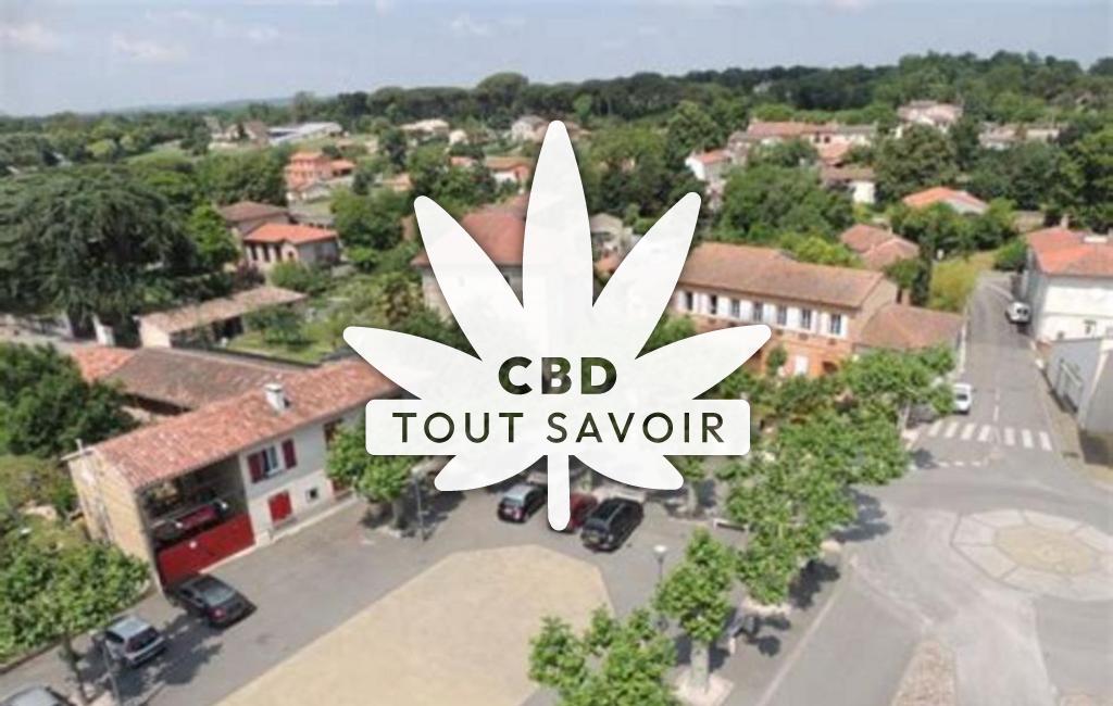 Village à Lafitte-Vigordane avec feuille Cannabis CBD