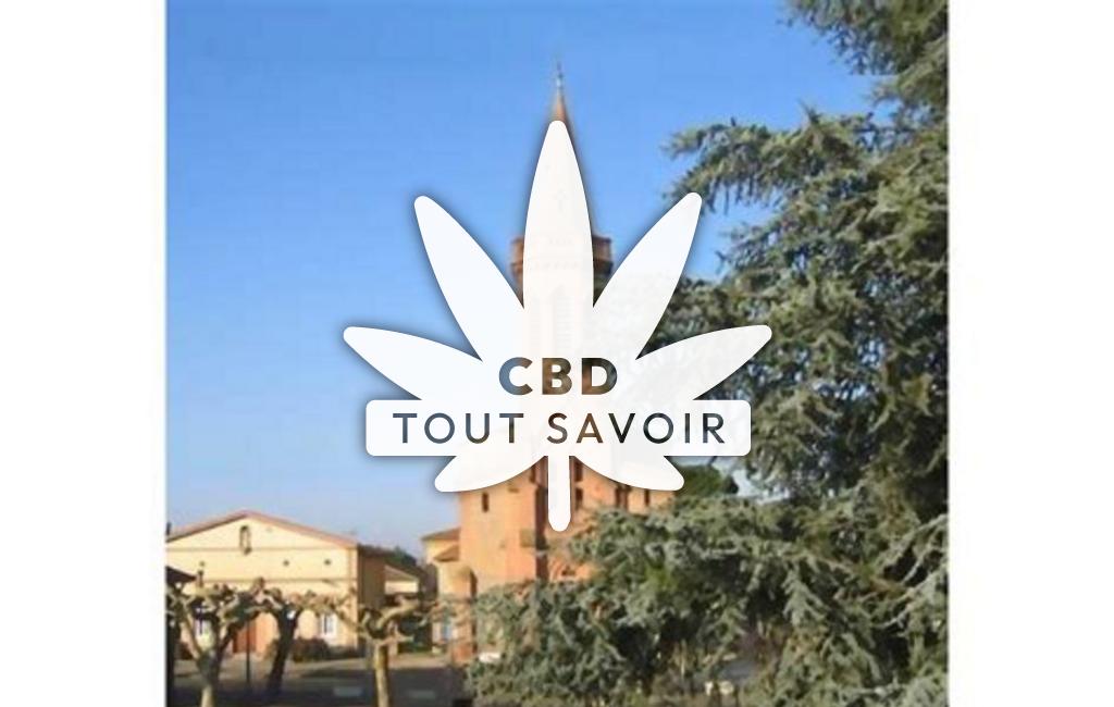 Village à Saint-Hilaire avec feuille Cannabis CBD