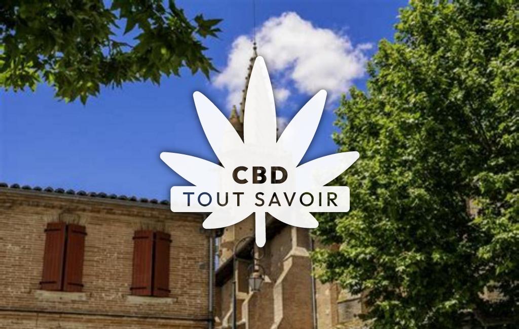 Village à Saint-Sulpice-sur-Leze avec feuille Cannabis CBD