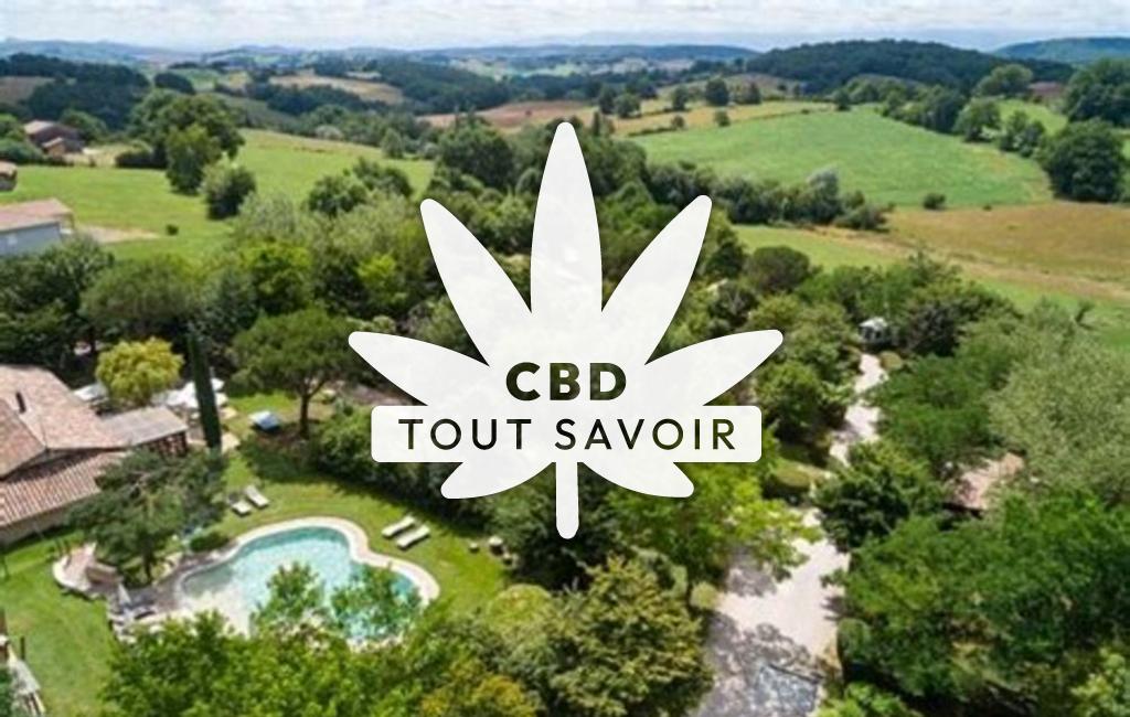Village à Cassagnabere-Tournas avec feuille Cannabis CBD