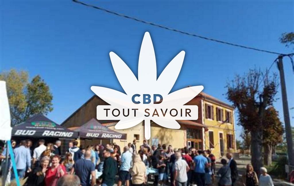 Village à Montegut-Bourjac avec feuille Cannabis CBD