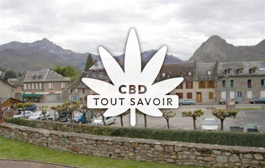 Village à Cierp-Gaud avec feuille Cannabis CBD