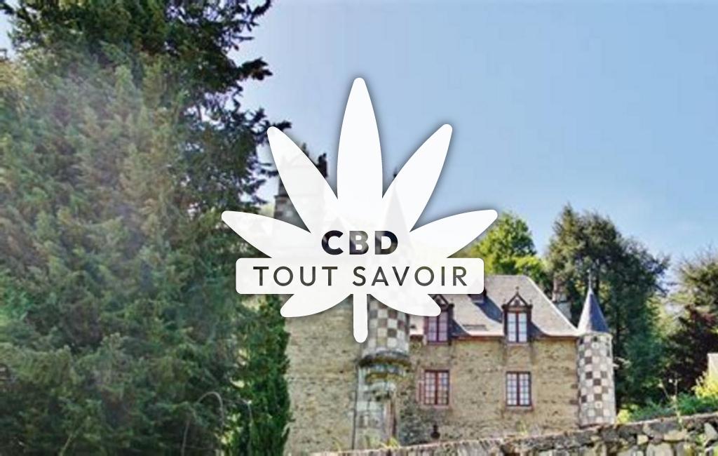 Village à Guran avec feuille Cannabis CBD