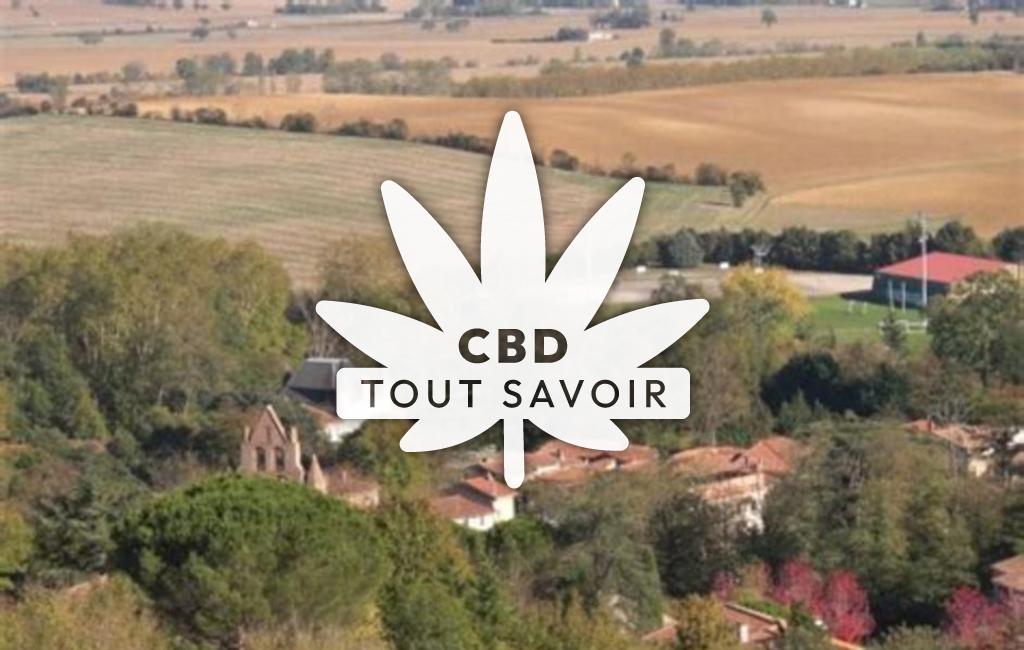 Village à Ayguesvives avec feuille Cannabis CBD
