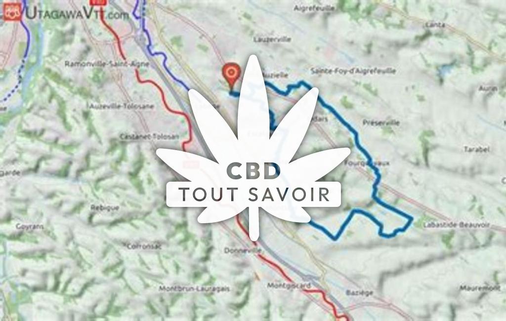 Village à Belberaud avec feuille Cannabis CBD