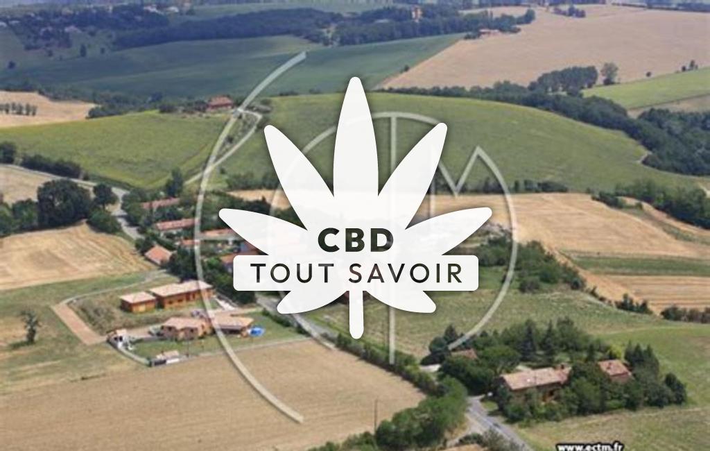 Village à Belbeze-de-Lauragais avec feuille Cannabis CBD