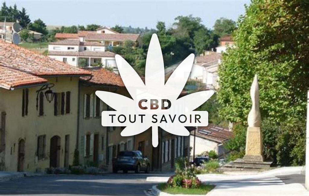 Village à Issus avec feuille Cannabis CBD