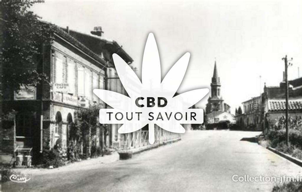 Village à Labastide-Beauvoir avec feuille Cannabis CBD