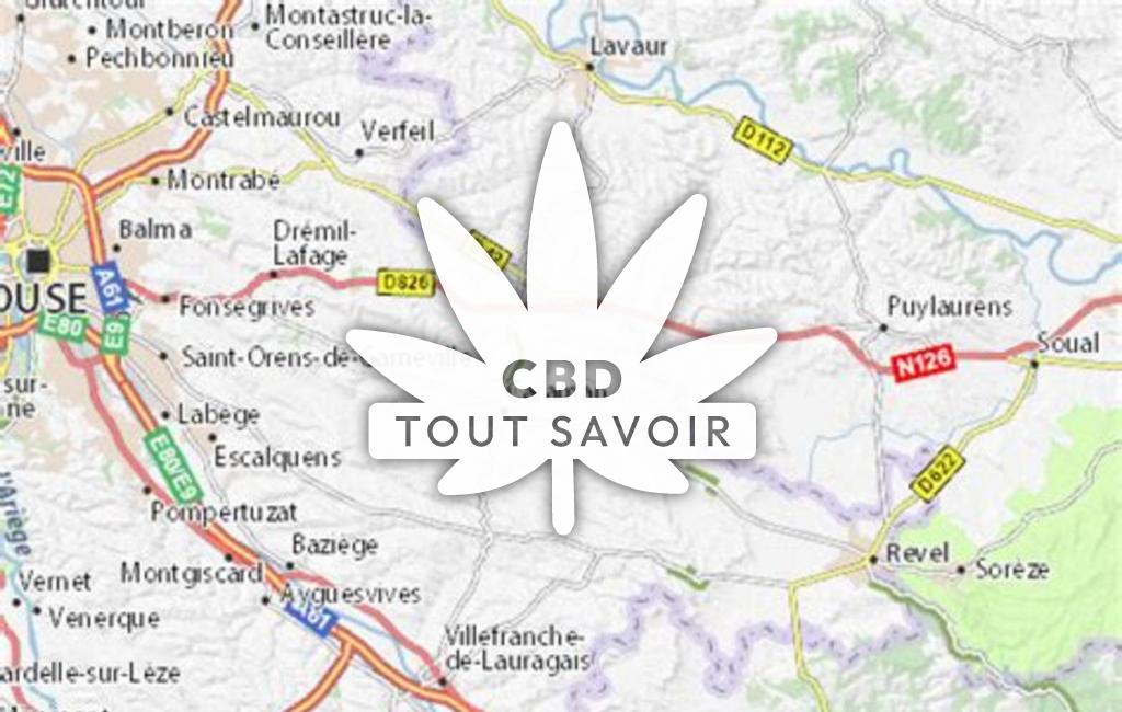 Village à La-Salvetat-Lauragais avec feuille Cannabis CBD