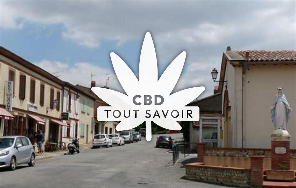 Village à Toutens avec feuille Cannabis CBD