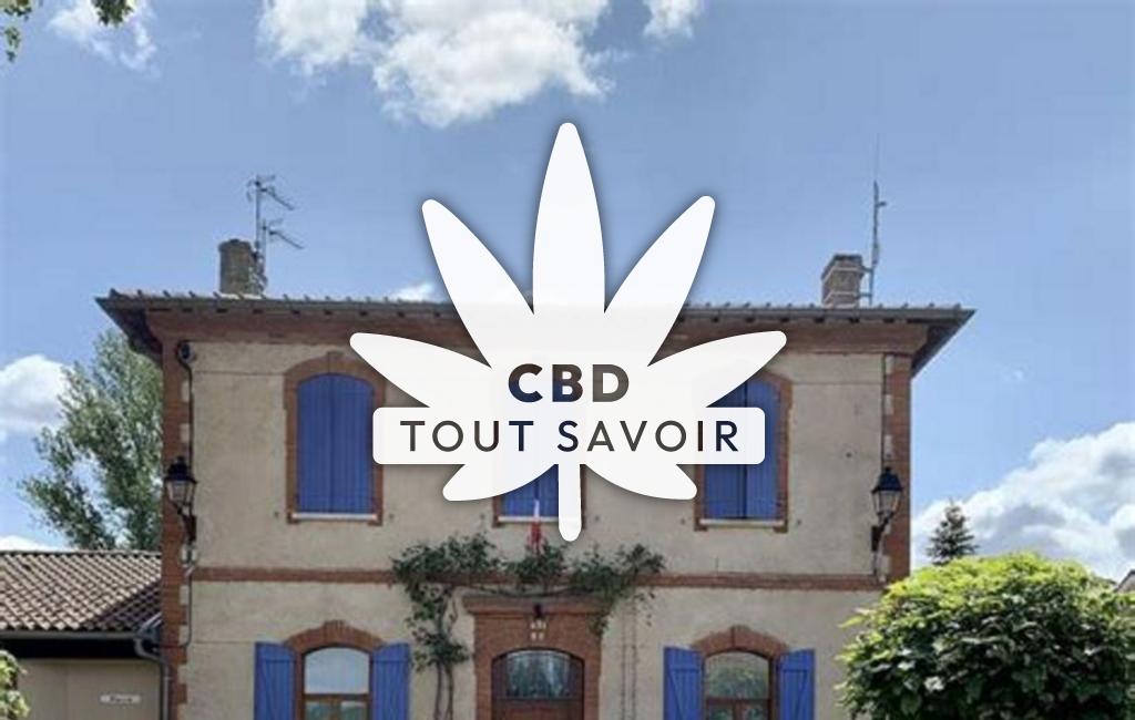 Village à Bonrepos-sur-Aussonnelle avec feuille Cannabis CBD
