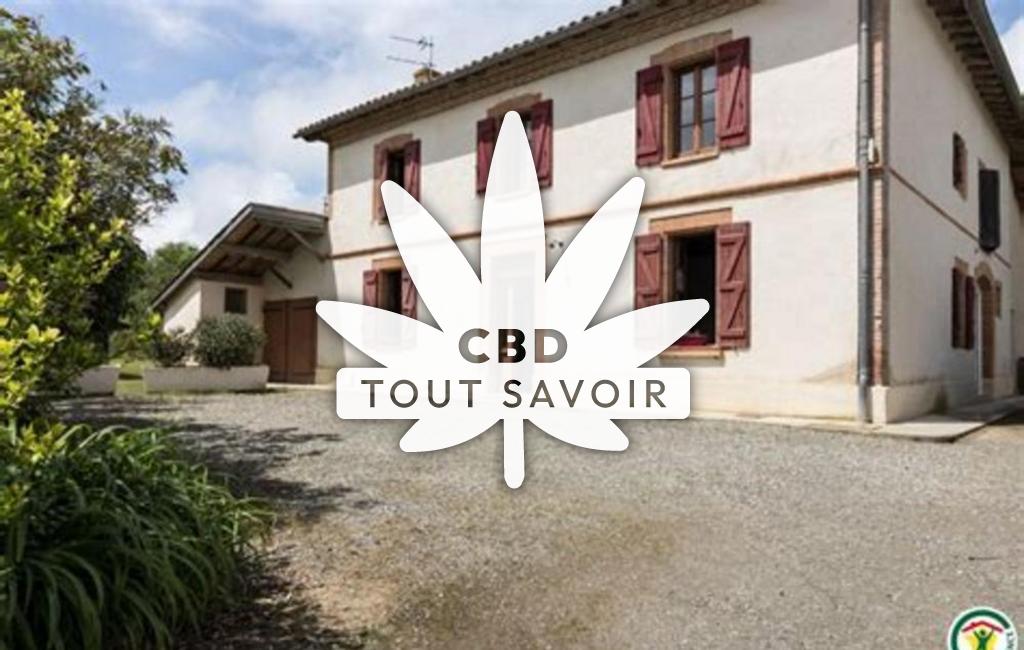 Village à Sainte-Foy-de-Peyrolieres avec feuille Cannabis CBD