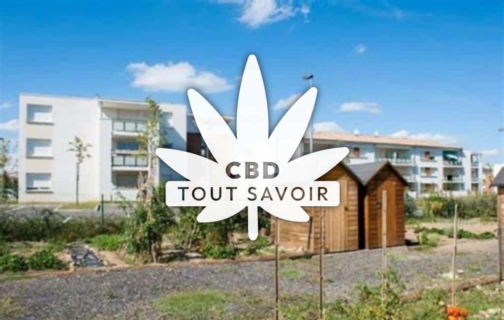 Village à Leguevin avec feuille Cannabis CBD