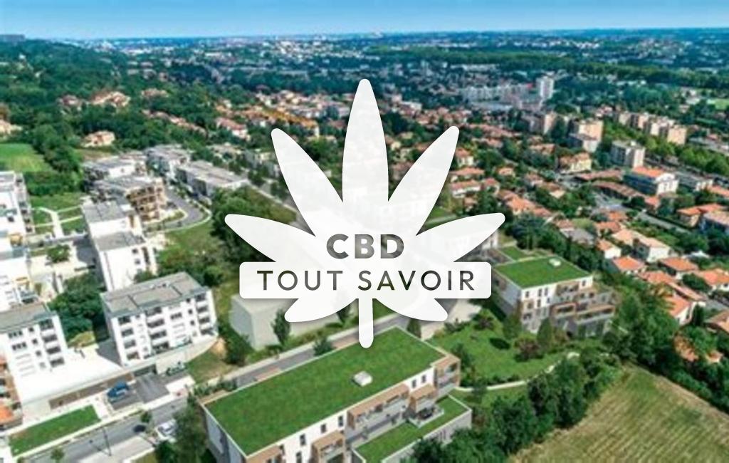 Village à Ramonville-Saint-Agne avec feuille Cannabis CBD