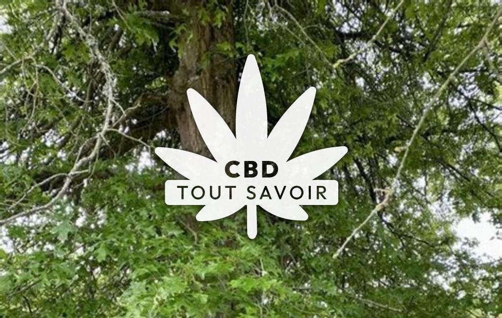 Village à Lasserre-Pradere avec feuille Cannabis CBD
