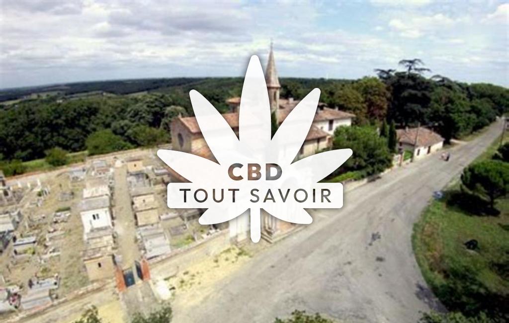 Village à Montaigut-sur-Save avec feuille Cannabis CBD