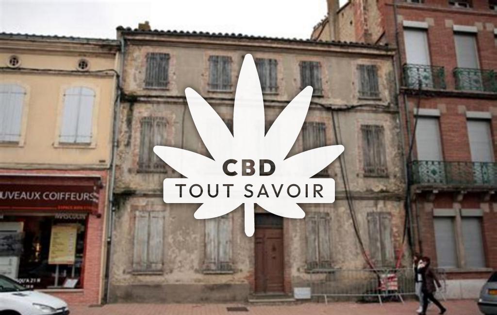 Village à Belesta-en-Lauragais avec feuille Cannabis CBD