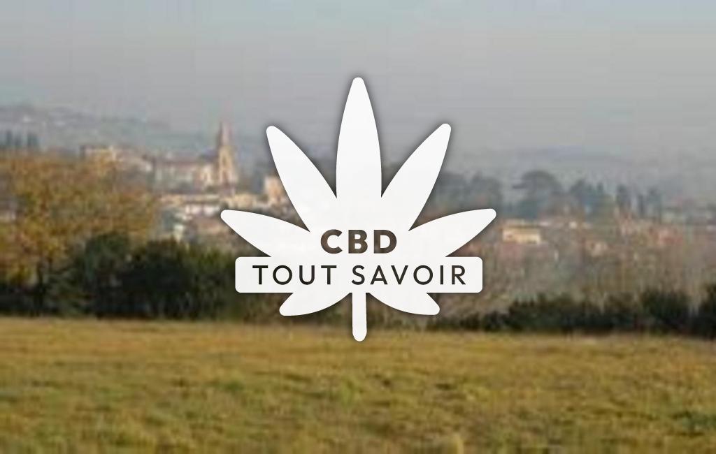 Village à Montegut-Lauragais avec feuille Cannabis CBD