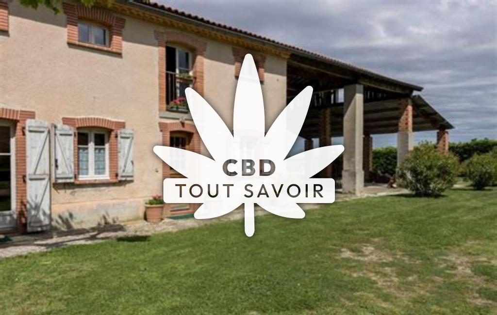 Village à Saint-Julia avec feuille Cannabis CBD