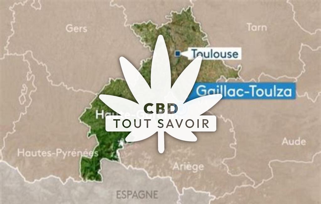 Village à Gaillac-Toulza avec feuille Cannabis CBD