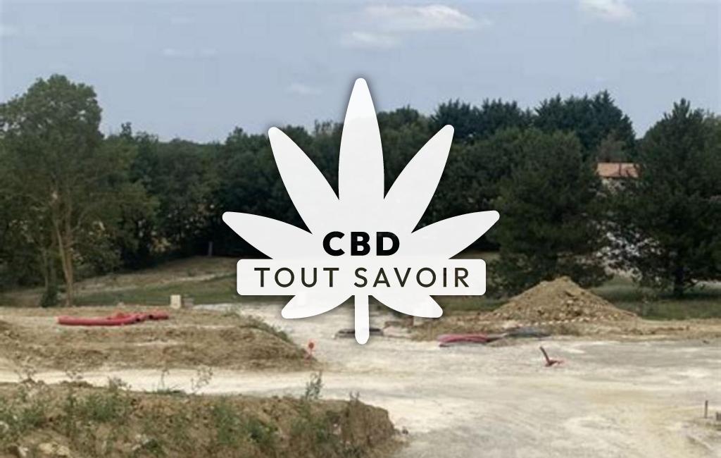 Village à Saint-Pierre-de-Lages avec feuille Cannabis CBD