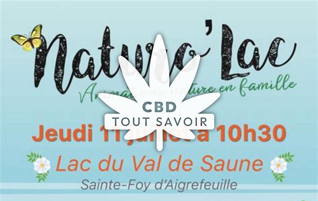 Village à Sainte-Foy-D'Aigrefeuille avec feuille Cannabis CBD