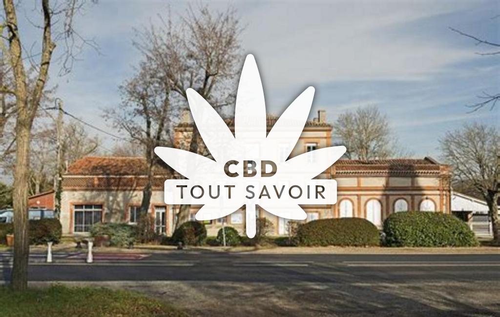 Village à Vallesvilles avec feuille Cannabis CBD