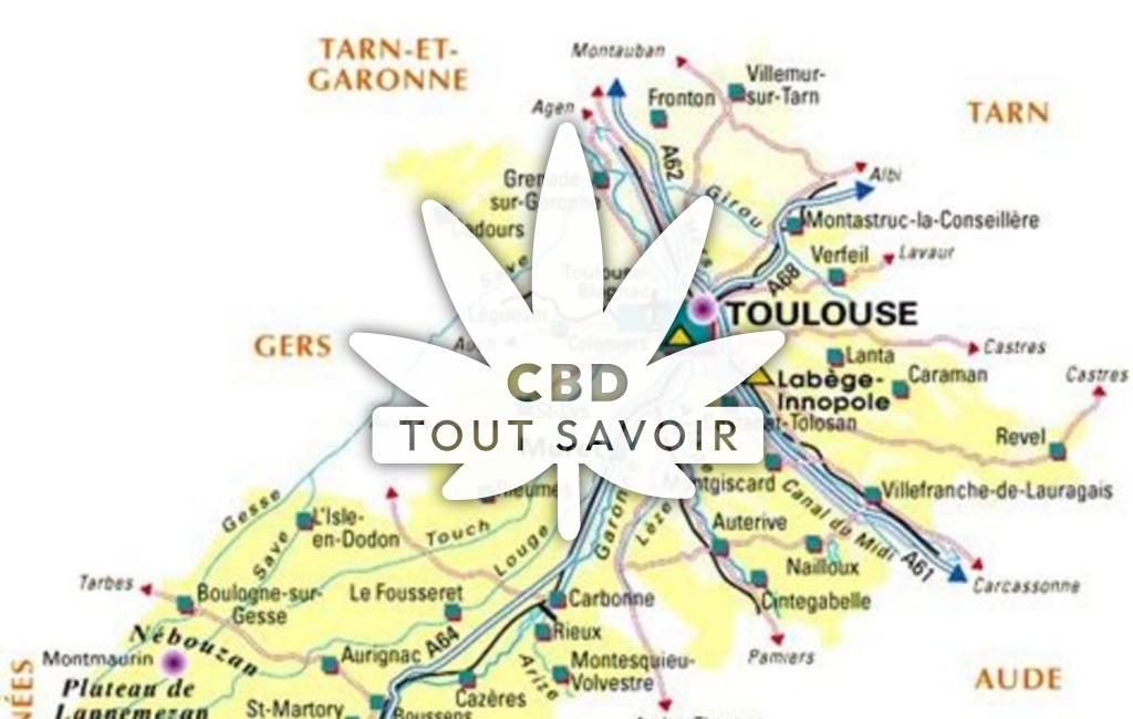 Village à Villeneuve-Lecussan avec feuille Cannabis CBD