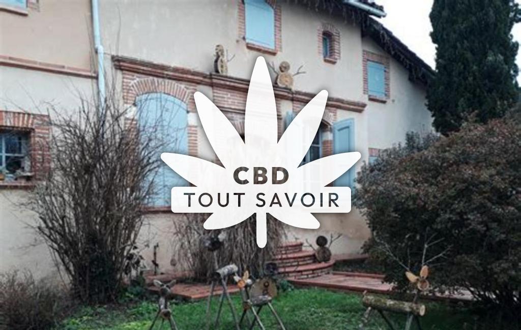 Village à Saint-Marcel-Paulel avec feuille Cannabis CBD
