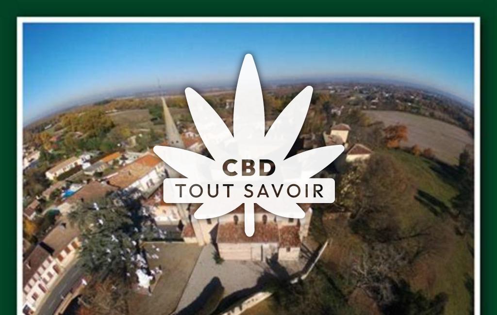 Village à Villaudric avec feuille Cannabis CBD