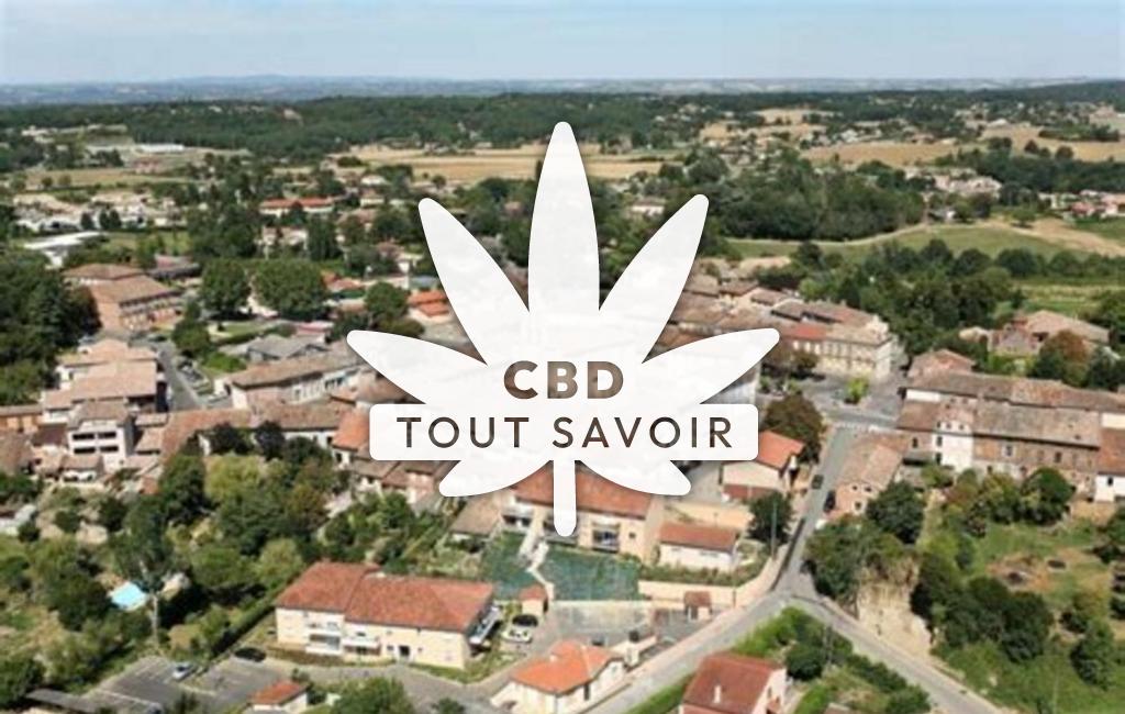 Village à Villeneuve-les-Bouloc avec feuille Cannabis CBD