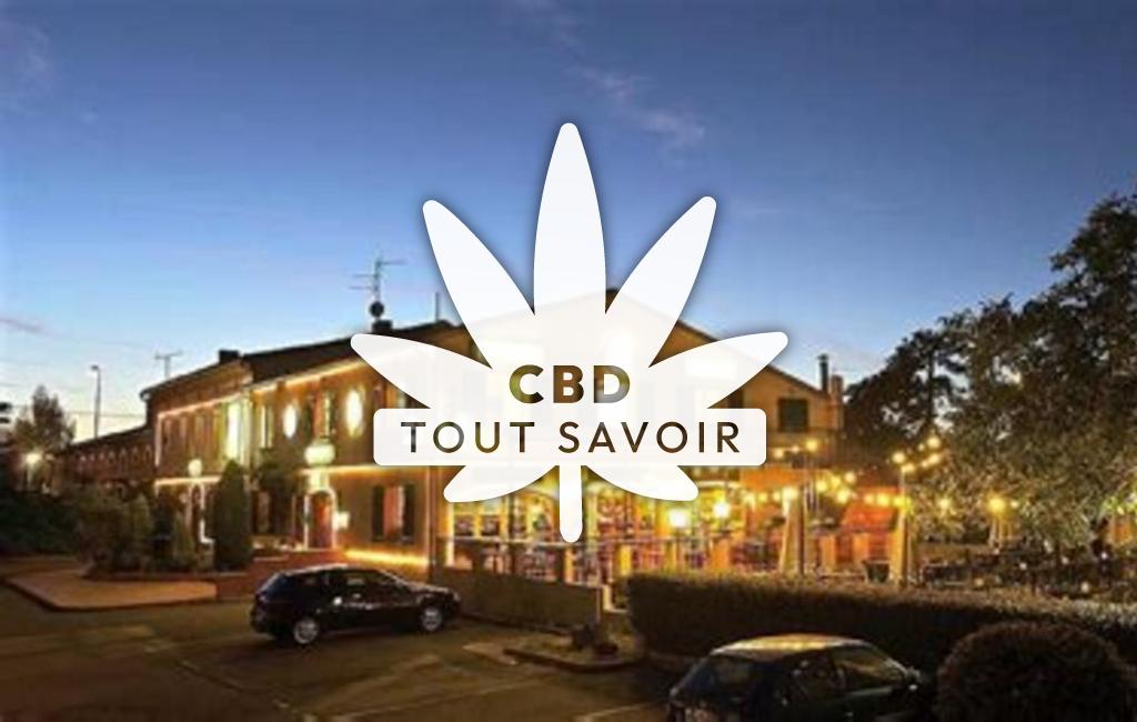 Village à Cornebarrieu avec feuille Cannabis CBD