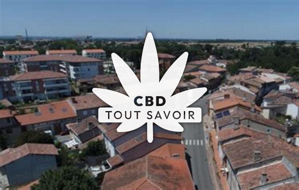 Village à Mondonville avec feuille Cannabis CBD
