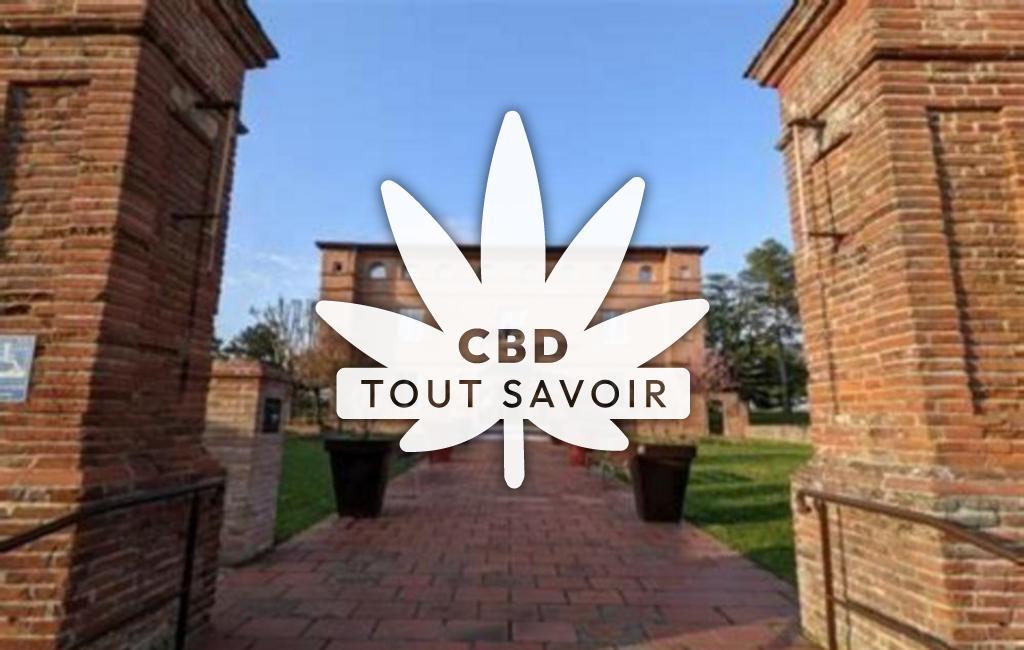 Village à Escalquens avec feuille Cannabis CBD