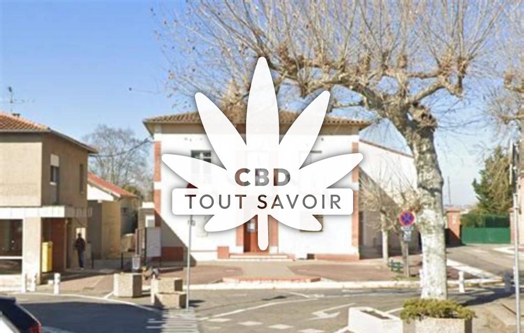 Village à Saint-Jory avec feuille Cannabis CBD