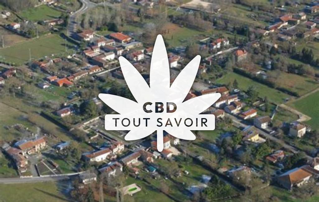 Village à Labarthe-Inard avec feuille Cannabis CBD