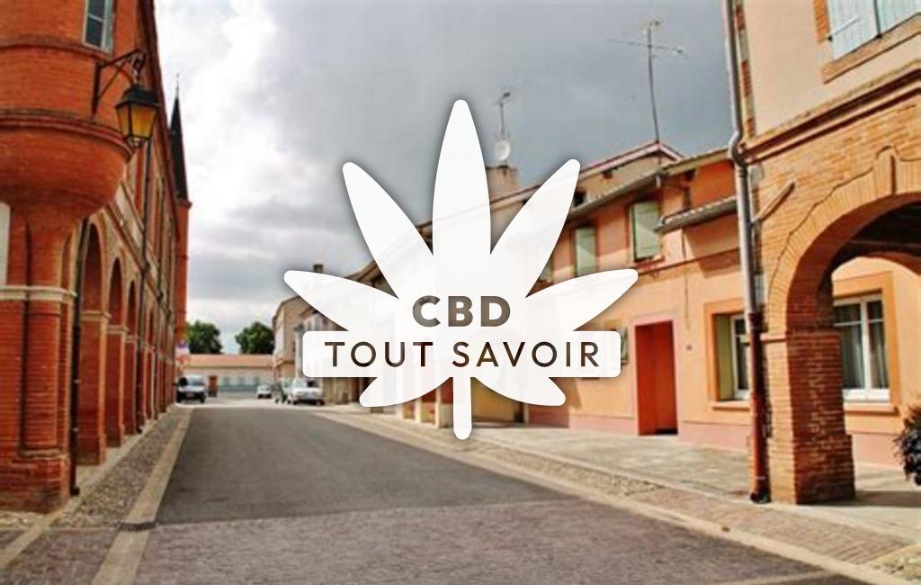 Village à Saint-Ignan avec feuille Cannabis CBD