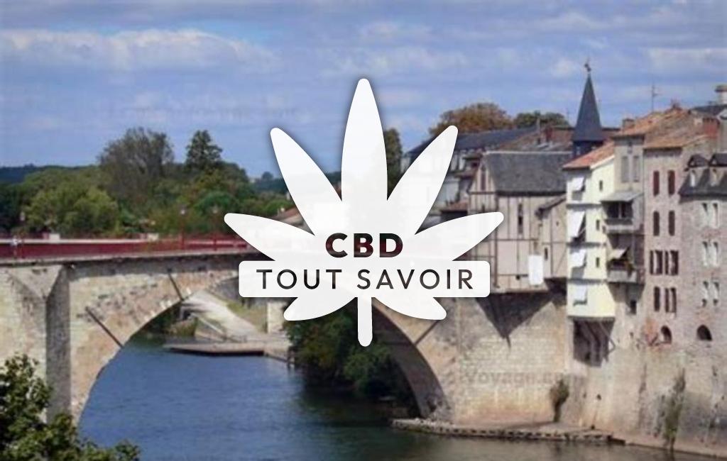 Village à Villeneuve-de-Riviere avec feuille Cannabis CBD