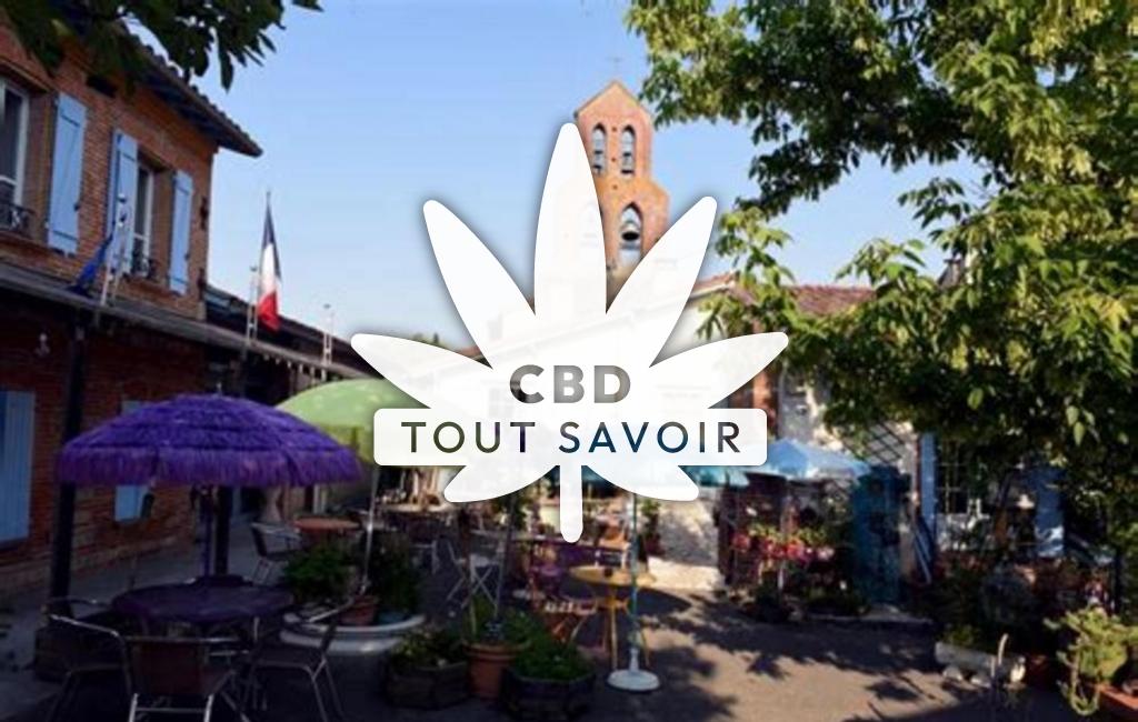 Village à Clermont-le-Fort avec feuille Cannabis CBD