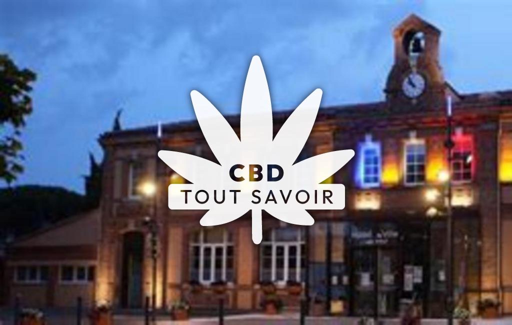 Village à Vernet avec feuille Cannabis CBD