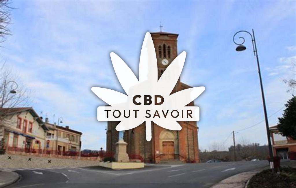 Village à Beaumont-sur-Leze avec feuille Cannabis CBD