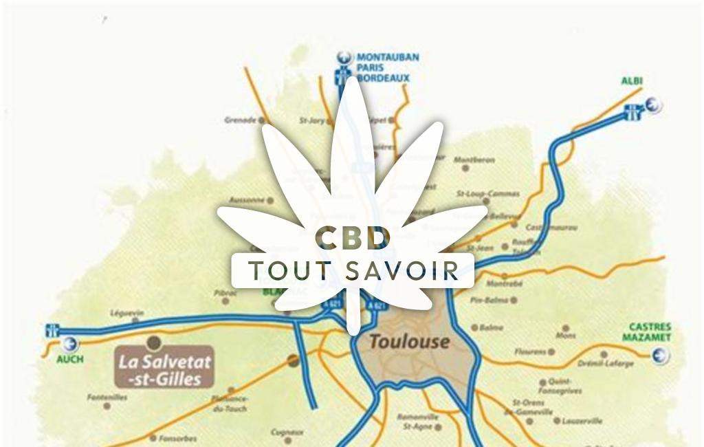 Village à La-Salvetat-Saint-Gilles avec feuille Cannabis CBD