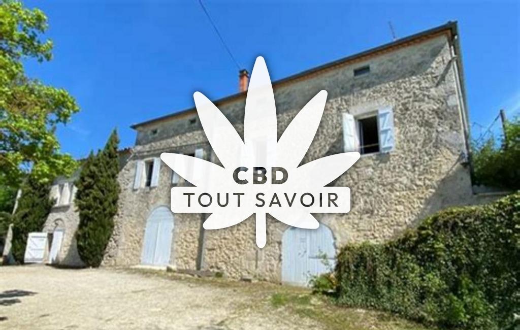 Village à CaSaintelnau-sur-l'Auvignon avec feuille Cannabis CBD