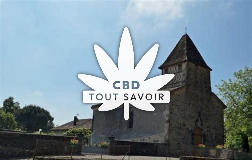 Village à Saint-Martin-D'Armagnac avec feuille Cannabis CBD