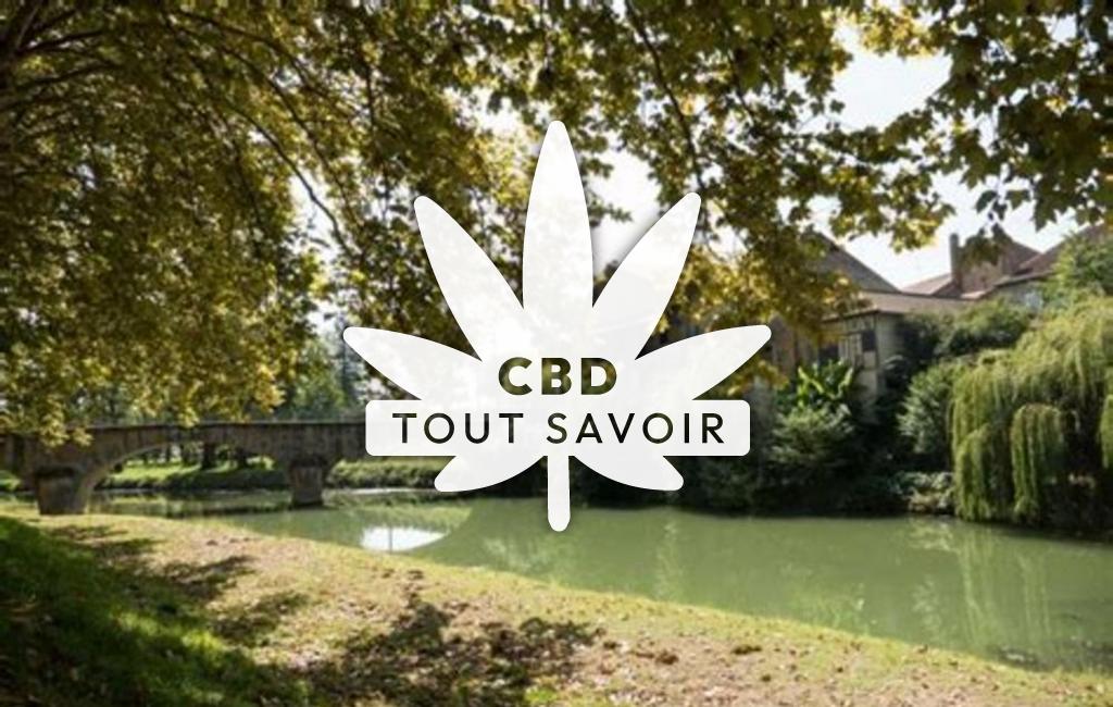 Village à Labrihe avec feuille Cannabis CBD