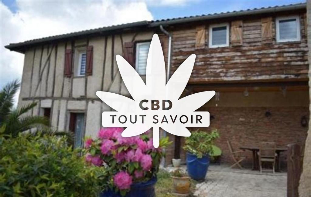 Village à Noilhan avec feuille Cannabis CBD