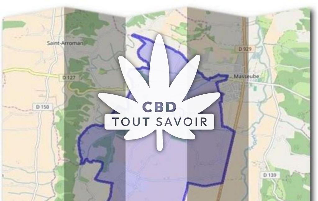 Village à Esclassan-Labastide avec feuille Cannabis CBD
