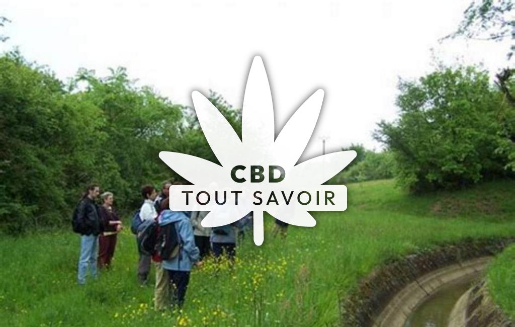 Village à Lourties-Monbrun avec feuille Cannabis CBD