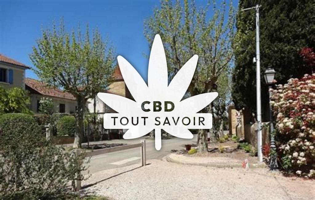 Village à Mont-D'Astarac avec feuille Cannabis CBD
