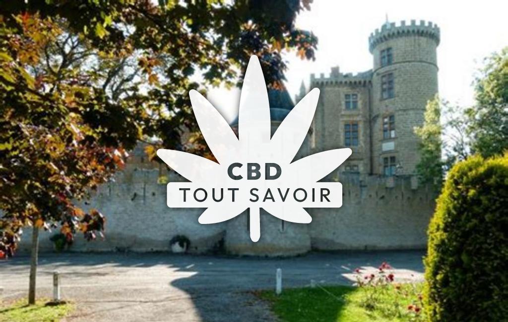 Village à Saint-Blancard avec feuille Cannabis CBD